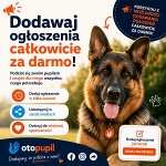 Szukasz zwierzaka? Poznaj OtoPupil.pl – ogłoszenia zwierząt z całej Polski
