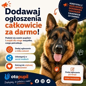 Szukasz zwierzaka? Poznaj OtoPupil.pl – ogłoszenia zwierząt z całej Polski